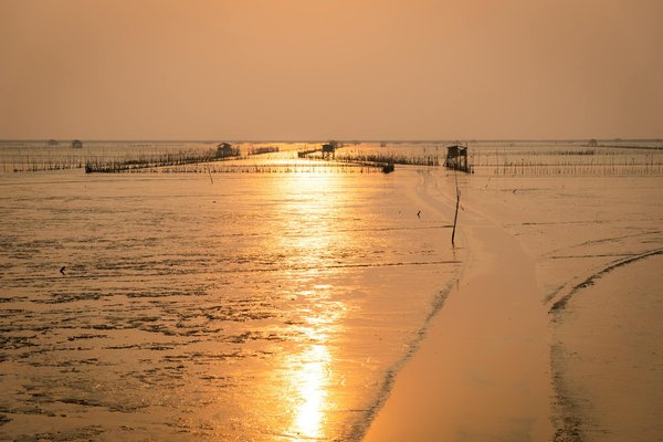 Quelles croisières proposent des ateliers de fabrication de tambours en Afrique de l'Ouest?