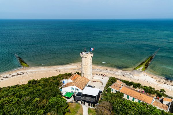 Quelle croisière offre des excursions pour observer les baleines à bosse en Nouvelle-Angleterre?